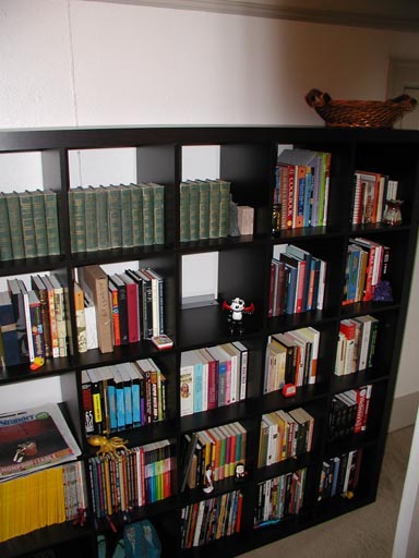 aptbookcase2.jpg