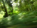 Out the Car Window Series (pt 2)