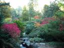 Kubota Garden (10/06)