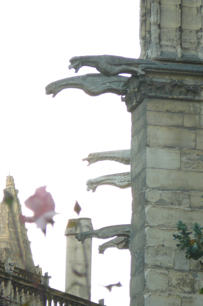 Ah, gargoyles and a rose–now that’s gothic, silly church!