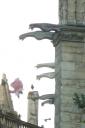 francenotre17.jpg