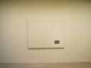 They think this is the very first impressionist painting. . .so it got its own room.
