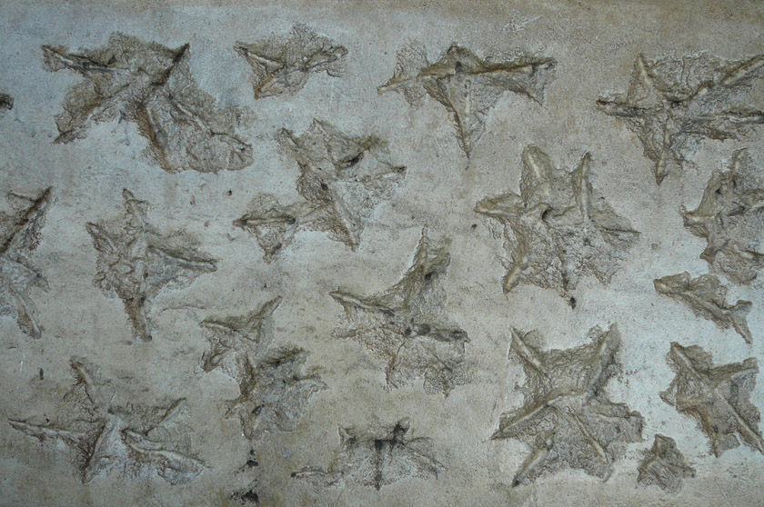 The giant concrete feet where the metal legs sit into has this weird starred texture all over them