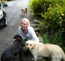These guys lived on the farm! My first Irish pals!